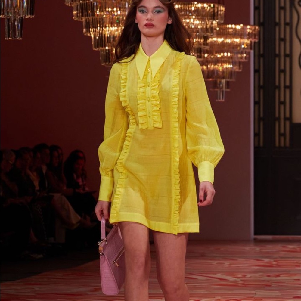 ISO Alice McCall lover girl dress
